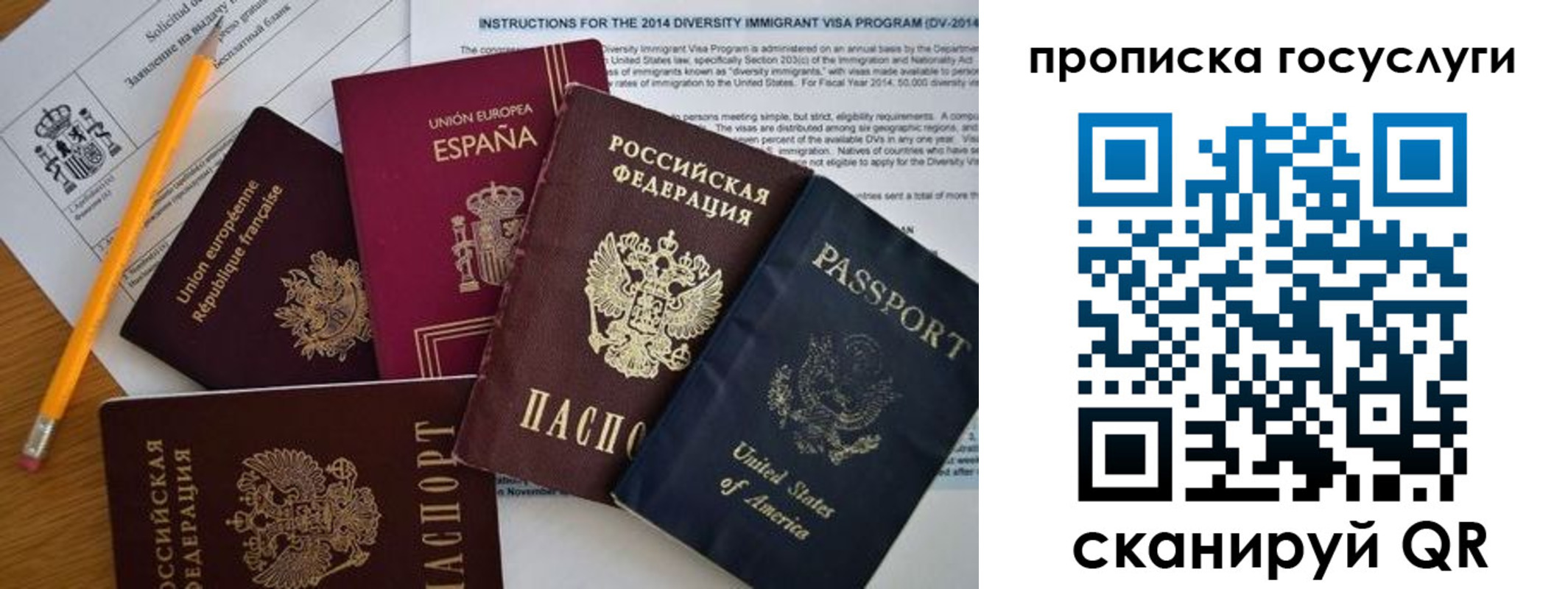 прописка гарантия в Новоульяновске